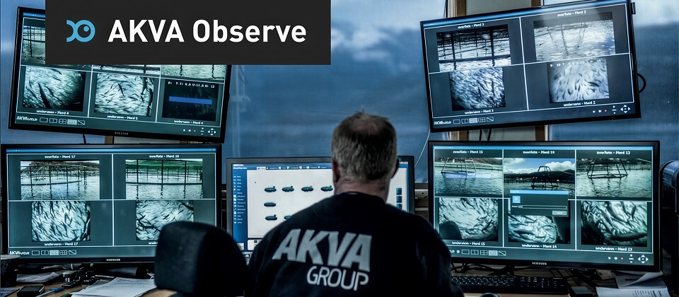AI Seed Proves Sustainability Pays: 6x Return as AKVA Buys Observe Technologies for $30M